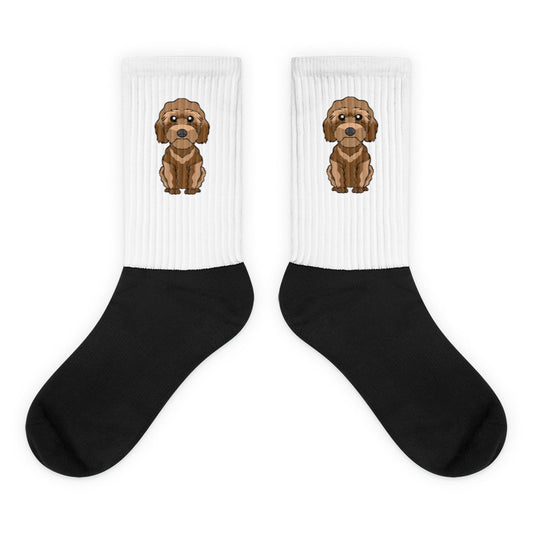 Cockapoo Socks