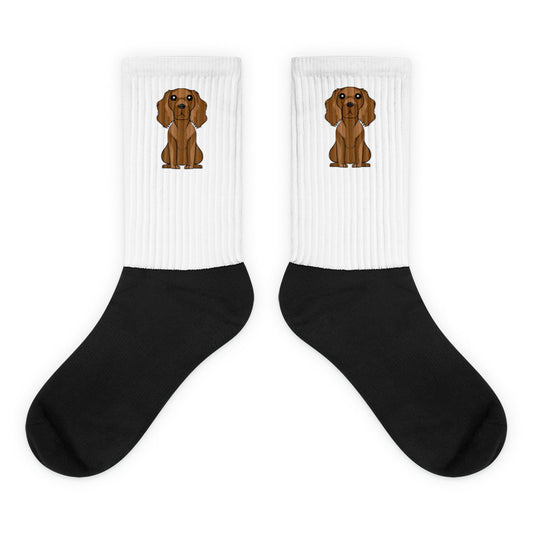 Cocker Spaniel Socks