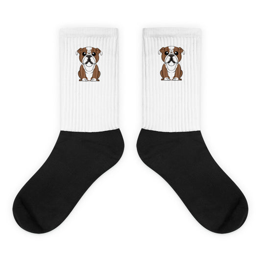 Bulldog Socks